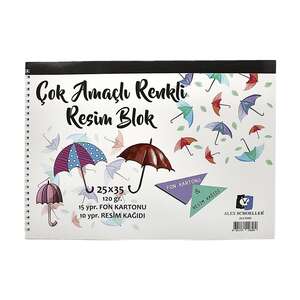 Alex Schoeller Resim Defteri Spiralli Renkli 120Gr 25X35 25 Yaprak 0589 - Alex Schoeller