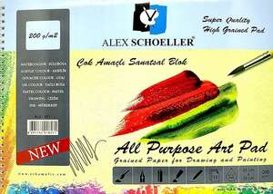 Alex Schoeller - Alex Schoeller Çok Amaçlı Çizim Defteri 25x35cm 200gr 15 Sayfa ALX-89