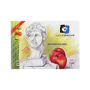 Alex Schoeller Spiralli Resim Defteri 25X35 120Gr 40 Yaprak Alx-0770 - Alex Schoeller