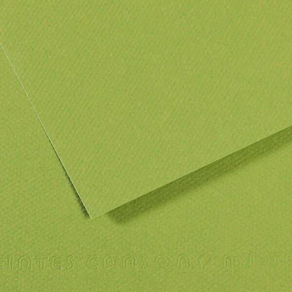 Canson Mi-Teintes 160 Gr 50X65cm Apple Green 475 - 1