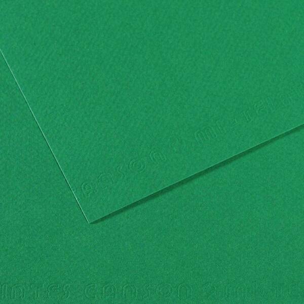 Canson Mi-Teintes 160 Gr 50X65cm Viridian 575 - 1