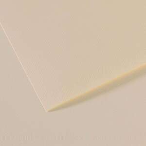 Canson Mi-Teintes 160gr 50X65cm 110 Lily - Canson