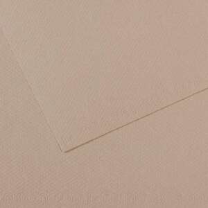 Canson Mi-Teintes 160gr 50X65cm 122 Flannel Grey - Canson