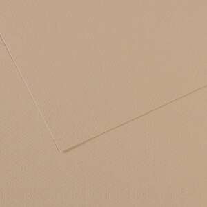 Canson Mi-Teintes 160gr 50X65cm 343 Pearl - Canson