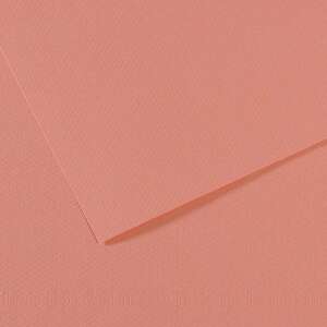 Canson Mi-Teintes 160gr 50X65cm 352 Orchid - Canson