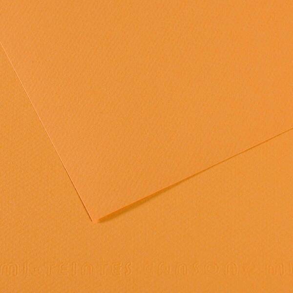 Canson Mi-Teintes 160gr 50X65cm 374 Hemp - 1