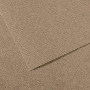 Canson Mi-Teintes 160gr 50X65cm 431 Steel Grey - Canson