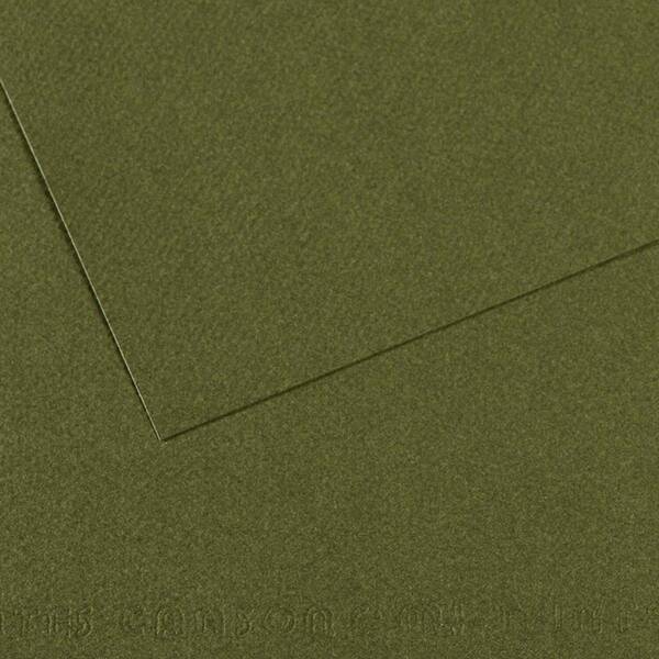 Canson Mi-Teintes 160gr 50X65cm 448 Ivory - 1