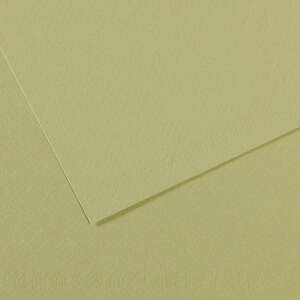 Canson Mi-Teintes 160gr 50X65cm 480 Light Green - Canson