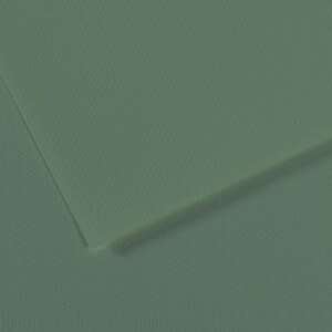 Canson Mi-Teintes 160gr A4 190 Sage Green - Canson