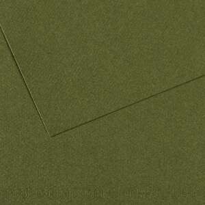 Canson Mi-Teintes 160gr A4 448 Ivy - Canson