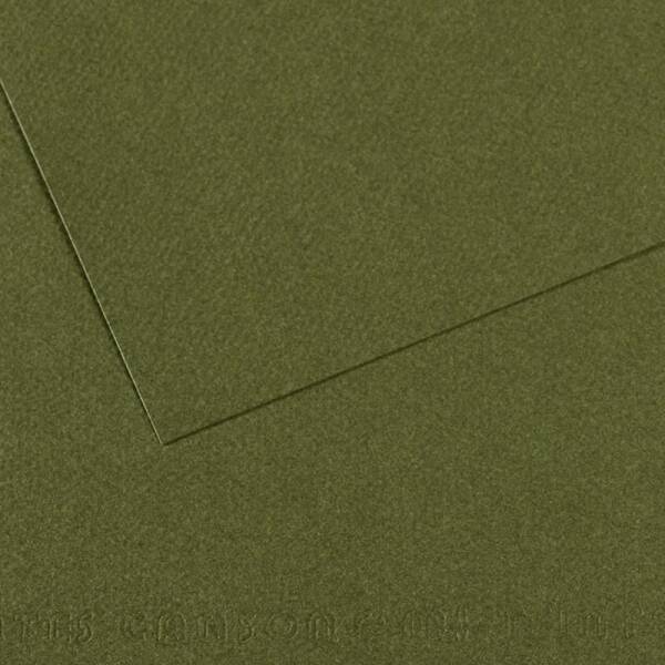 Canson Mi-Teintes 160gr A4 448 Ivy - 1