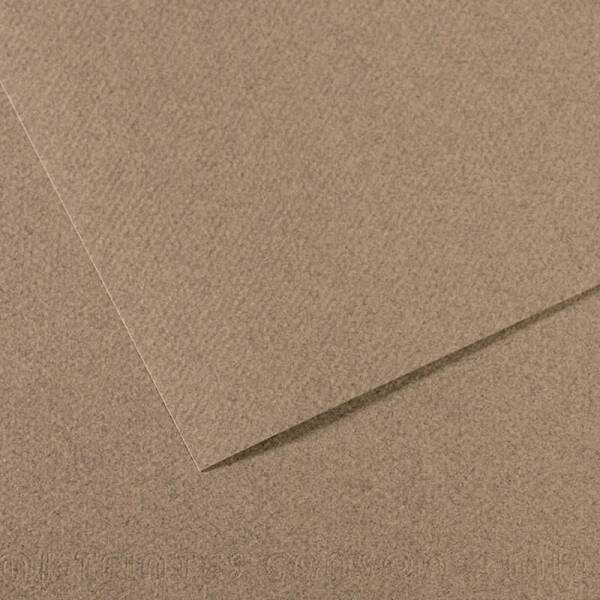 Canson Mi-Teintes 160 GR A4 431 Steel Grey - 1