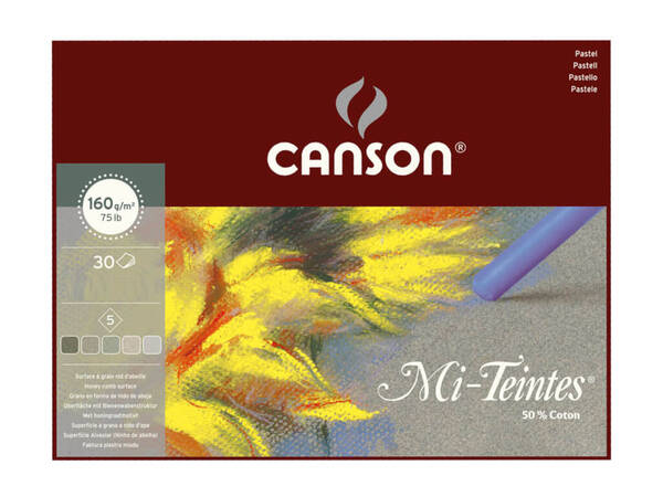 Canson Mi-Teintes Pastel Boya Defteri 160gr 24X32cm 30 Yaprak Gri Tonları - 1