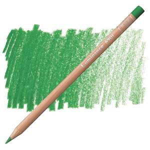 Caran Dache - Carandache Artist Luminance Pencil 6901-220 Grass Green