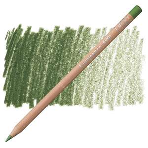 Caran Dache - Carandache Artist Luminance Pencil 6901-225 Moss Green