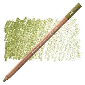 Carandache Artist Pastel Kalem 788-017 Light Reseda - Caran Dache