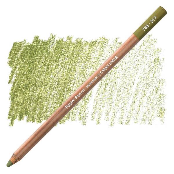 Carandache Artist Pastel Kalem 788-017 Light Reseda - 1