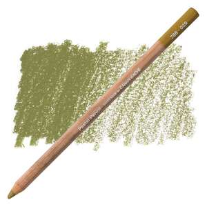 Carandache Artist Pastel Kalem 788-039 Olive Brown - Caran Dache