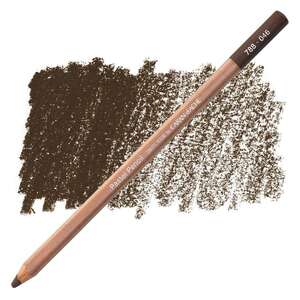 Carandache Artist Pastel Kalem 788-046 Cassel Earth - Caran Dache
