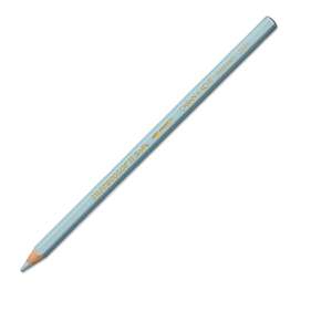Carandache Supracolor Kuruboya Kalemi 3888-004 Steel Gray - 3