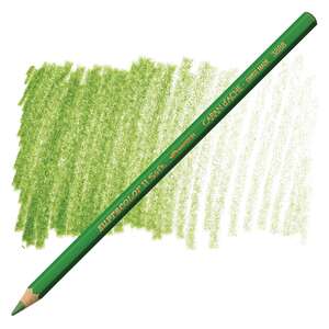 Carandache Supracolor Kuruboya Kalemi 3888-225 Moss Green - Caran Dache