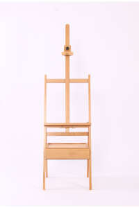 CARNATION/KARANFİL EA50122 ACADEMIA EASEL - 1