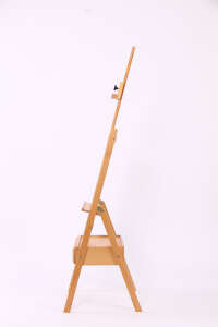 CARNATION/KARANFİL EA50122 ACADEMIA EASEL - 2