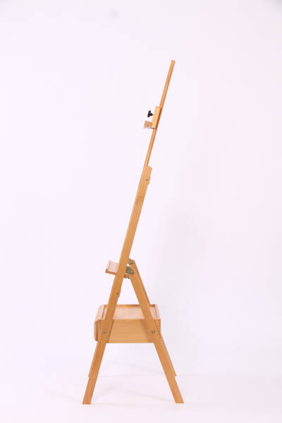 CARNATION/KARANFİL EA50122 ACADEMIA EASEL - 2