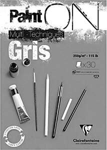 Clairefontaine Paint-On Gris Multi Teknik Çizim Defteri A3 250gr 30 Yaprak - Clairefontaine