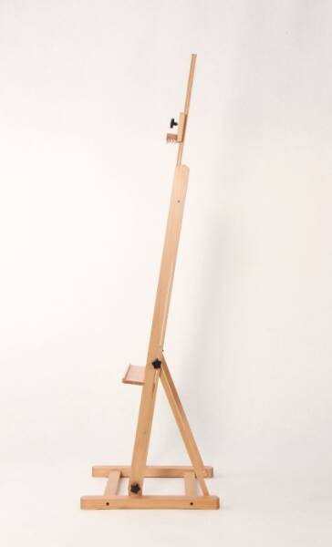 CROCUS PINE/ÇİĞDEM ÇAM EA50117 ACADEMIA EASEL - 2