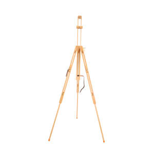 CYCLAMEN/SIKLAMEN EA50132 ACADEMIA EASEL - Vincent