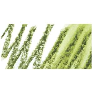 Daniel Smith Extra Fine Çubuk Sulu Boya Olive Green - 2