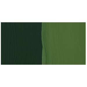 Daniel Smith Extra Fine Guaj Boya 15 Ml Seri 2 Sap Green - 2