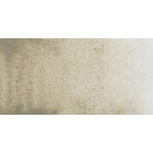 Daniel Smith Extra Fine Tüp Suluboya 15 Ml Seri 1 Gray Titanium - 2