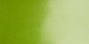 Daniel Smith Extra Fine Tüp Suluboya 15 Ml Seri 2 Deep Sap Green - Thumbnail