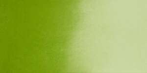 Daniel Smith Extra Fine Tüp Suluboya 15 Ml Seri 2 Deep Sap Green - 2