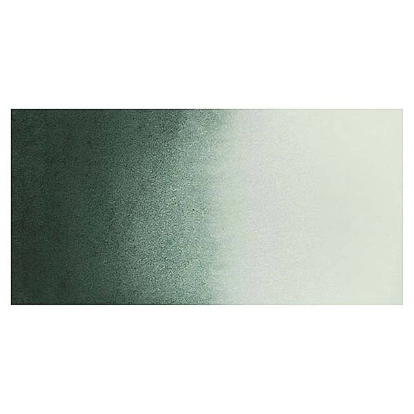Daniel Smith Extra Fine Tüp Suluboya 5 Ml Seri 2 Perylene Green - 2
