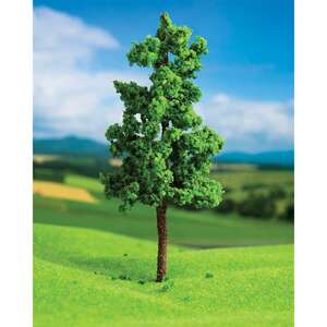 Dişbudak Ağacı 9cm (2'li) - Eshel