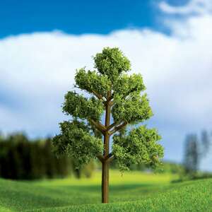 Eshel Açık Renkli Akçakavak Ağacı 9cm (2'li) - Thumbnail