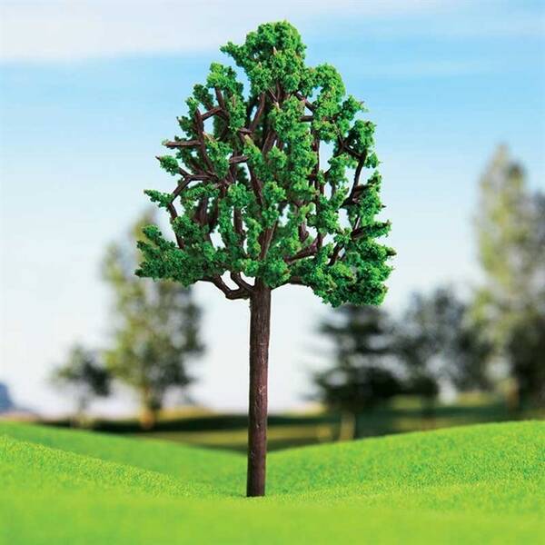 Eshel Kavak Ağacı 15cm