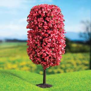 Eshel Kırmızı Dağ Çamı 10Cm (2Li) - Eshel