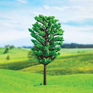Eshel Meşe Ağacı 10cm (2'li) - Thumbnail