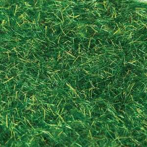 Eshel Toz Çim 20gr Yaz Yeşili - Eshel