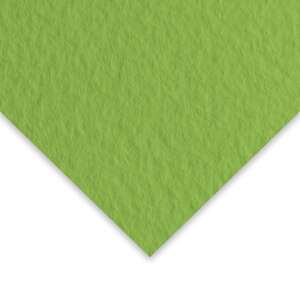 Fabriano Tiziano Pastel Kağıt 160gr 50X65cm Yosun Muschio - Fabriano