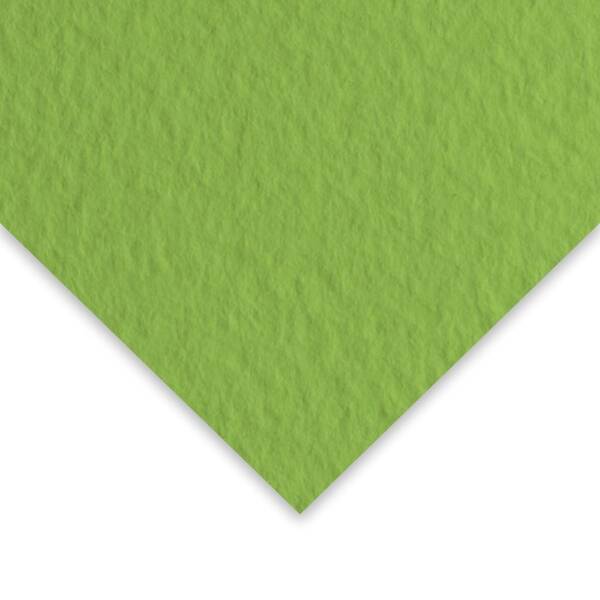 Fabriano Tiziano Pastel Kağıt 160gr 50X65cm Yosun Muschio - 1