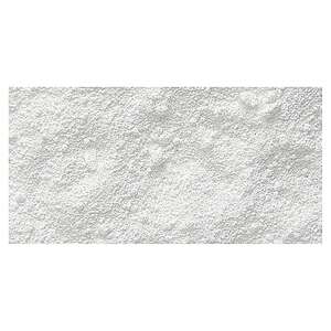 Gamblin Pigment 76gr Titanium Dioxide - 2