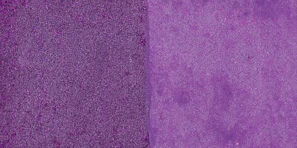 Golden High Flow Sıvı Akrilik Boya 473 Ml Seri 7 Permanent Violet Dark
