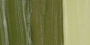 Golden Williamsburg El Yapımı Yağlı Boya 37 Ml S2 Earth Green - Thumbnail