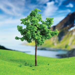 Karaağaç 4cm (3'lü) - Eshel